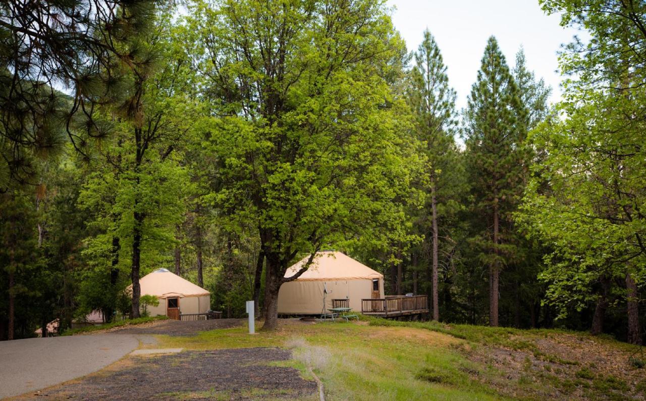 Yosemite Lakes Hillside Yurt 5 Harden Flat Exterior photo